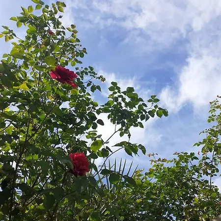 Centre -piscine View Our Profile Please *