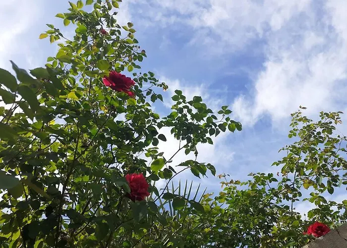 Centre -piscine View Our Profile Please *